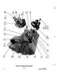 Previous Page - Parts and Accessories Catalog 31 January 1964