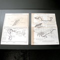 Previous Page - 